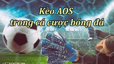 AOS trong cá độ bóng đá - Lợi ích và cách áp dụng hiệu quả